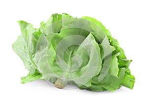 Fresh green butter lettuce head isolated on white