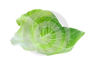 Fresh green butter lettuce leaf isolated on white