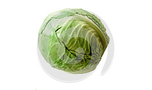 Fresh green cabbage