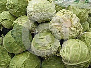 Fresh and Green Cabbage Healthy Weight Loss Friendly Diet