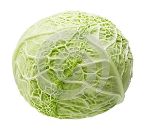Fresh green cabbage isolated
