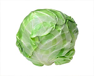 Fresh Green Cabbage Isolated On White