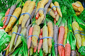 Fresh green cabbage, rainbow carrots and spinach in rubber bands at food store in America