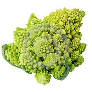 Fresh green cabbage romanesco, Brassica oleracea