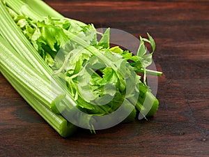 Fresh green celery stalks with leaves