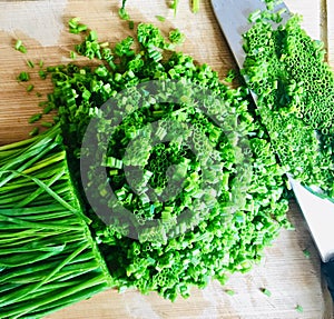 Fresh green chopped chives