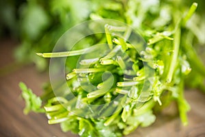 Fresh green cilantro, coriander leaves on wooden surface