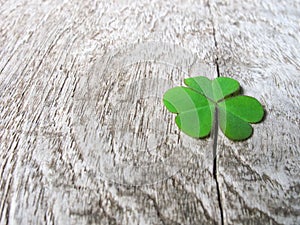 Fresh green clover leaves over wooden background,