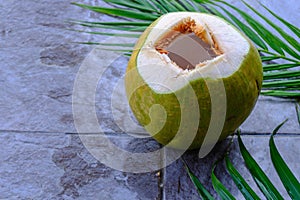 Fresh green coconut fruit and coconut leaves