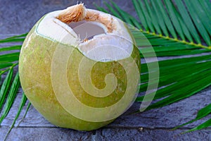 Fresh green coconut fruit and coconut leaves