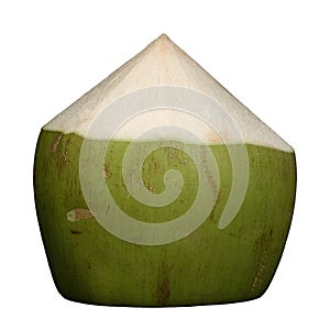 Fresh green coconut with white isolated background