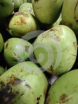 Fresh green coconuts close-up