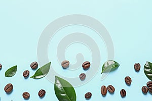 Fresh green coffee leaves and beans on blue background, flat lay. Space for text