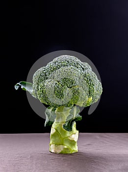 Fresh Green Color Broccoli on dark background