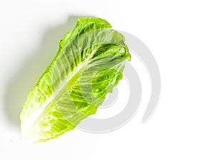Fresh green cos lettuce leaf isolate on white