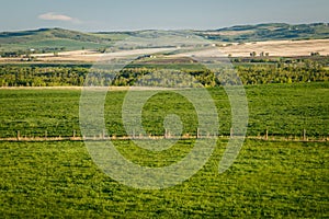 Fresh green countryside of Southern Alberta, province of Canada