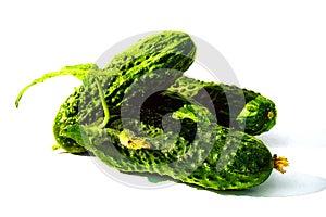 Fresh green cucumber with leaves and flowers on a white background.