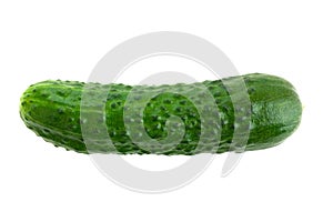 Fresh green cucumber on a white background.