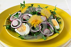 Fresh green dandelion salad on yellow plate