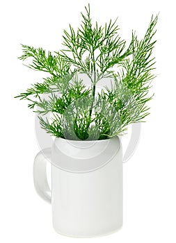 Fresh green dill bunch in small ceramic noggin