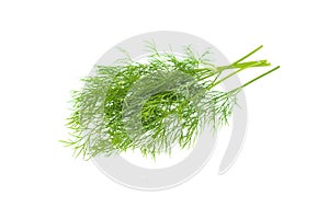 Fresh green dill leaves bunch, raw organic leaf, isolated on white background