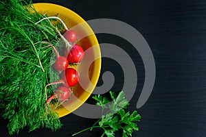 Fresh green dill and young radishes on black background, top view. Dill twigs and radishes on yellow plate, copy of space. Health