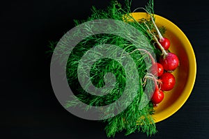 Fresh green dill and young radishes on black background, top view. Dill twigs and radishes on yellow plate, copy of space. Health