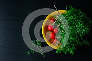 Fresh green dill and young radishes on black background, top view. Dill twigs and radishes on yellow plate, copy of space. Health