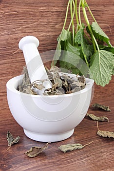 Fresh green and dried lemon balm in mortar, herbalism, alternative medicine