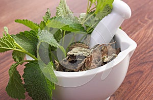 Fresh green and dried lemon balm in mortar, herbalism, alternative medicine