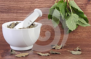 Fresh green and dried lemon balm in mortar, herbalism, alternative medicine