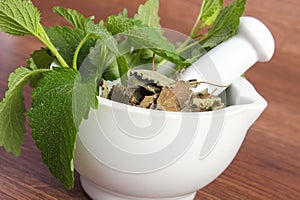 Fresh green and dried lemon balm in mortar, herbalism, alternative medicine photo