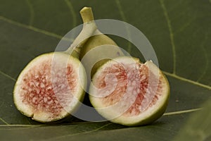 Fresh green figs on white background