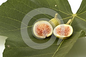 Fresh green figs on white background