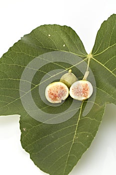 Fresh green figs on white background