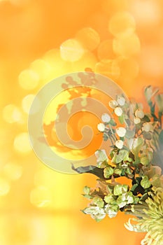 Fresh green flowers, wedding, and holiday arrangements.