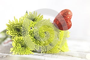 Fresh green flowers, wedding, and holiday arrangements.