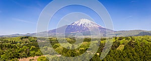 Fresh green forest and beautiful view Mt.Fuji with snow, blue sky in summer at Yamanashi, Japan. Panorama landscape
