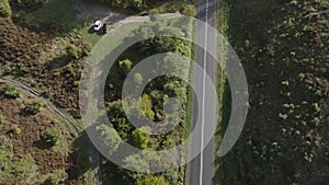 fresh green forest with road in rebild bakker