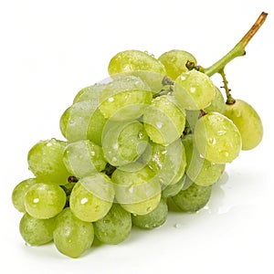 Fresh Green Grape isolated