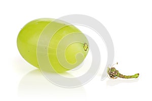 Fresh green grape isolated on white