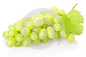 Fresh green grape on white