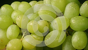 Fresh green Grapes