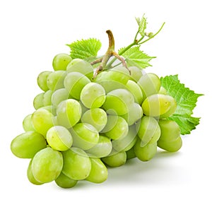 Fresh green grapes with leaves. Isolated on white