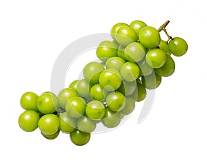 Fresh green grapes shine muscat, Japanese green grapes or shine muscat grape fruits isolated on white background with clipping