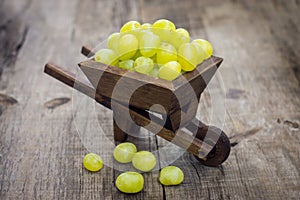 Fresh Green Grapes in a wheelbarrow
