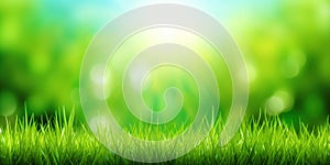 Fresh green grass background in sunny summer day. A natural spring garden background of fresh green grass for product display.