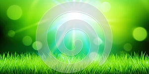 Fresh green grass background in sunny summer day. A natural spring garden background of fresh green grass for product display.