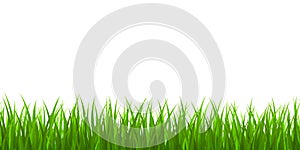 Fresh green grass border