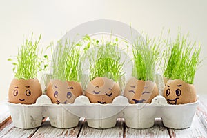 The fresh green grass growing in an egg shell with the funny persons drawn on it photo